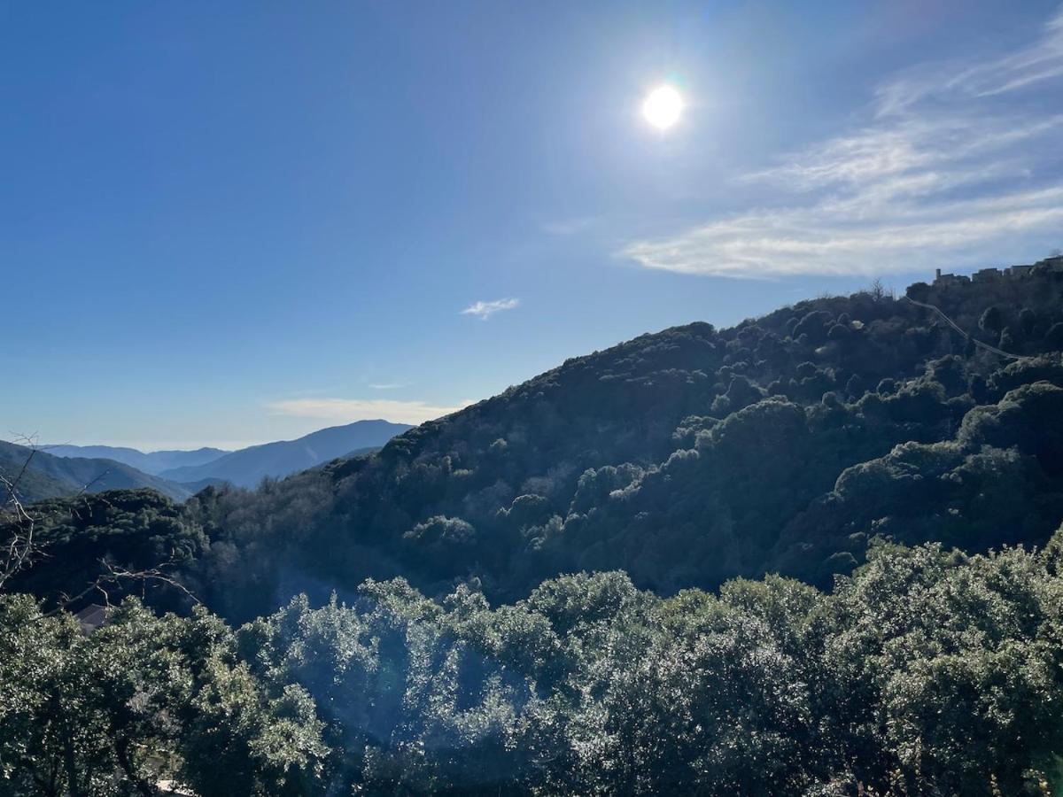 Sud-Corse Bavella Location Montagne Et Mer Sorbollano Eksteriør bilde