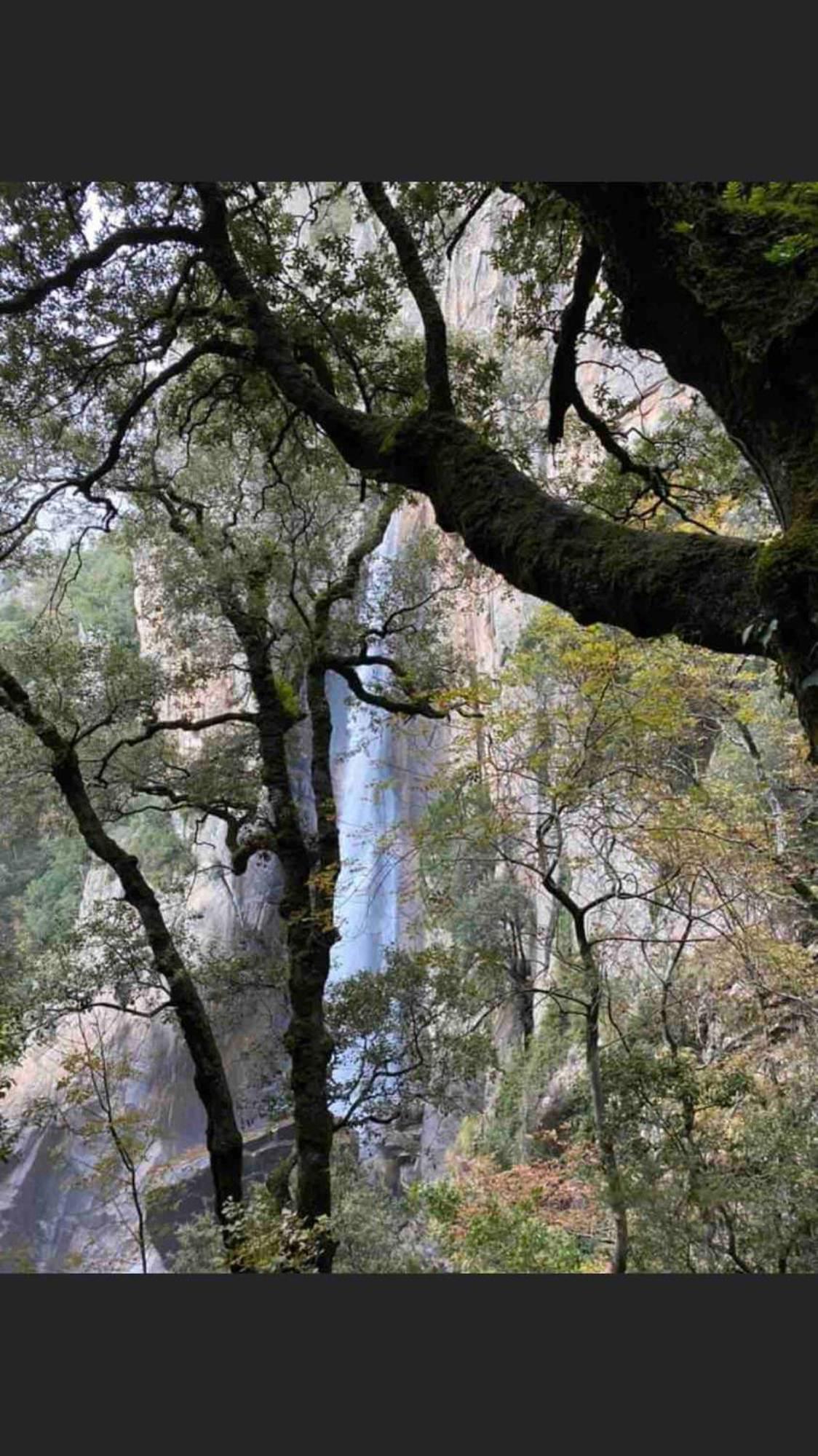 Sud-Corse Bavella Location Montagne Et Mer Sorbollano Eksteriør bilde